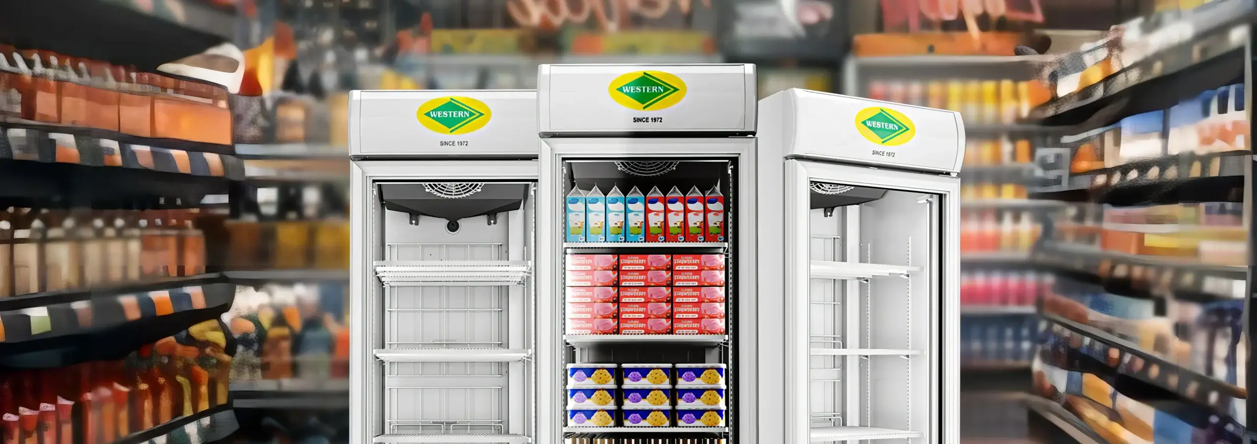 Vertical Freezer